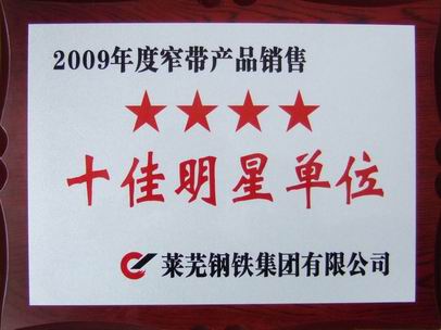 2009年(nián)度十(shí)佳明星單位
