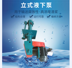 立(lì)式液下泵