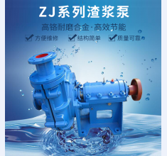 ZJ系列(liè)渣漿泵(beng)